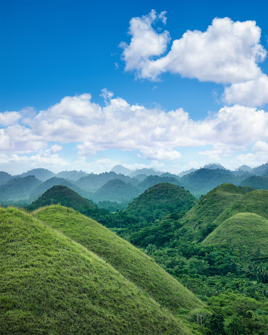PTM06: 3D2N Free and Easy Bohol Mabuhay Package
