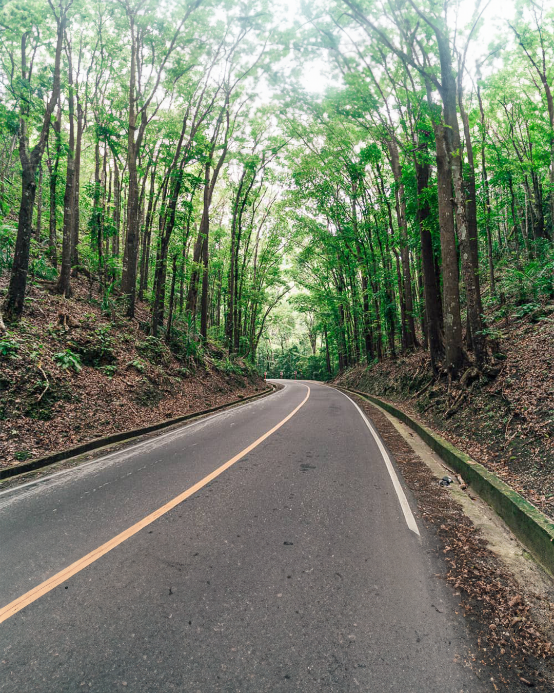 PTM06: 3D2N Free and Easy Bohol Mabuhay Package