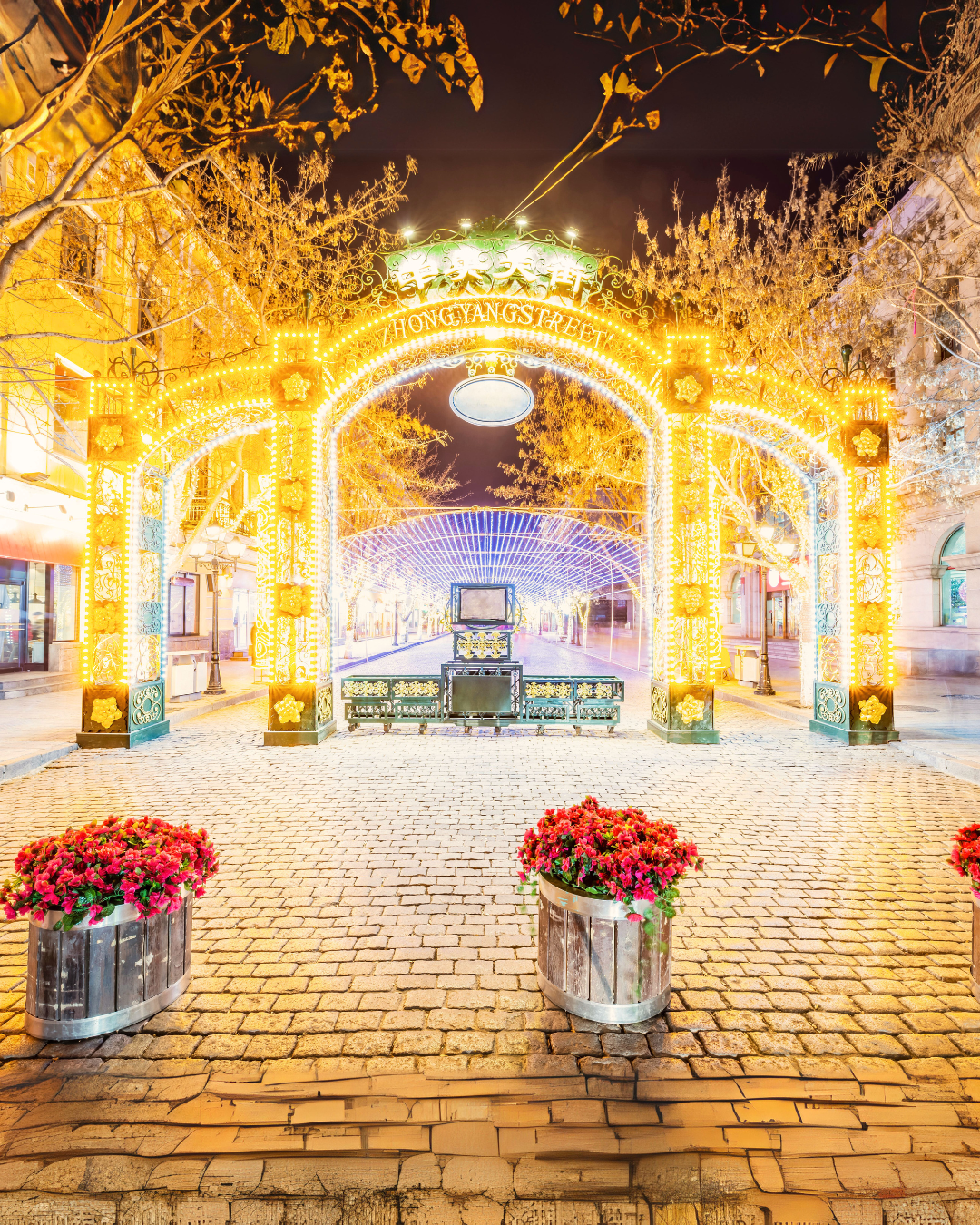 PTM34: 5D4N Winter Fairytale Adventure in Harbin-Yichun