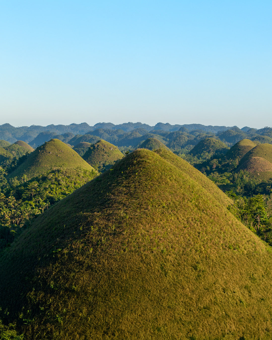L017: 4 Days and 3 Nights Land Arrangement: Cebu-Bohol, PH (with Cebu City Tour + Bohol Countryside Tour)