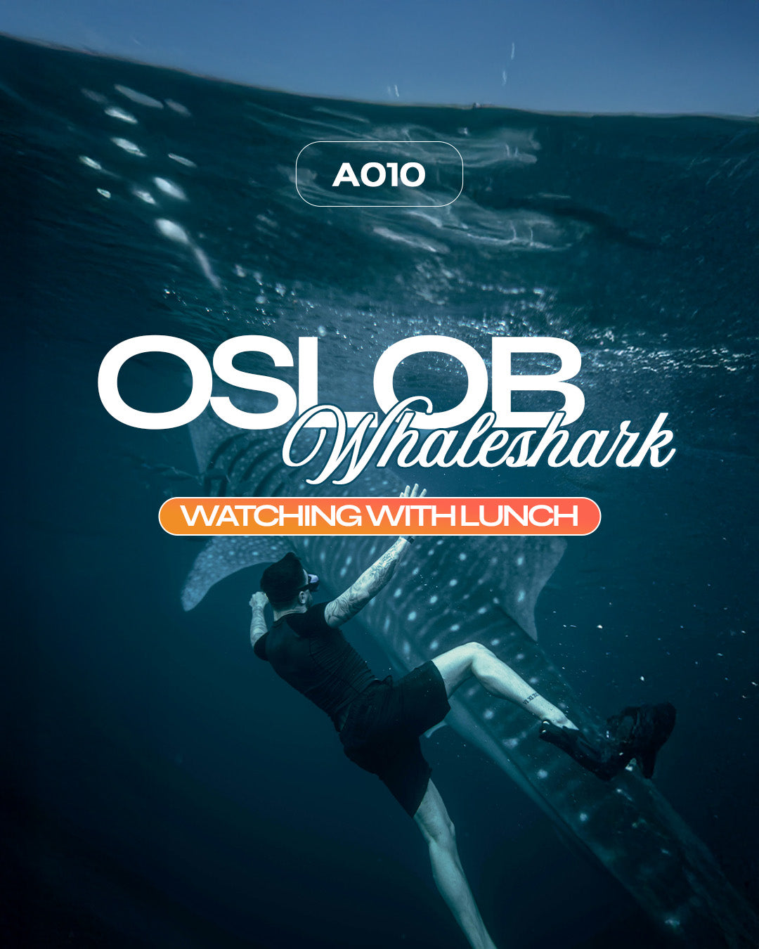 A010: Oslob Whale Shark Watching with Lunch