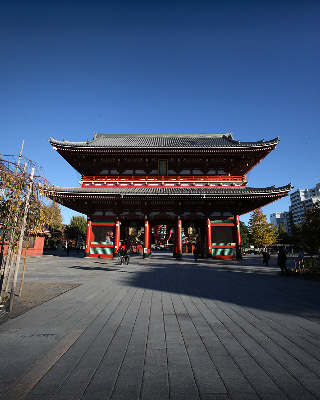 PTM30: 5D4N Japan: Tokyo + Mt. Fuji