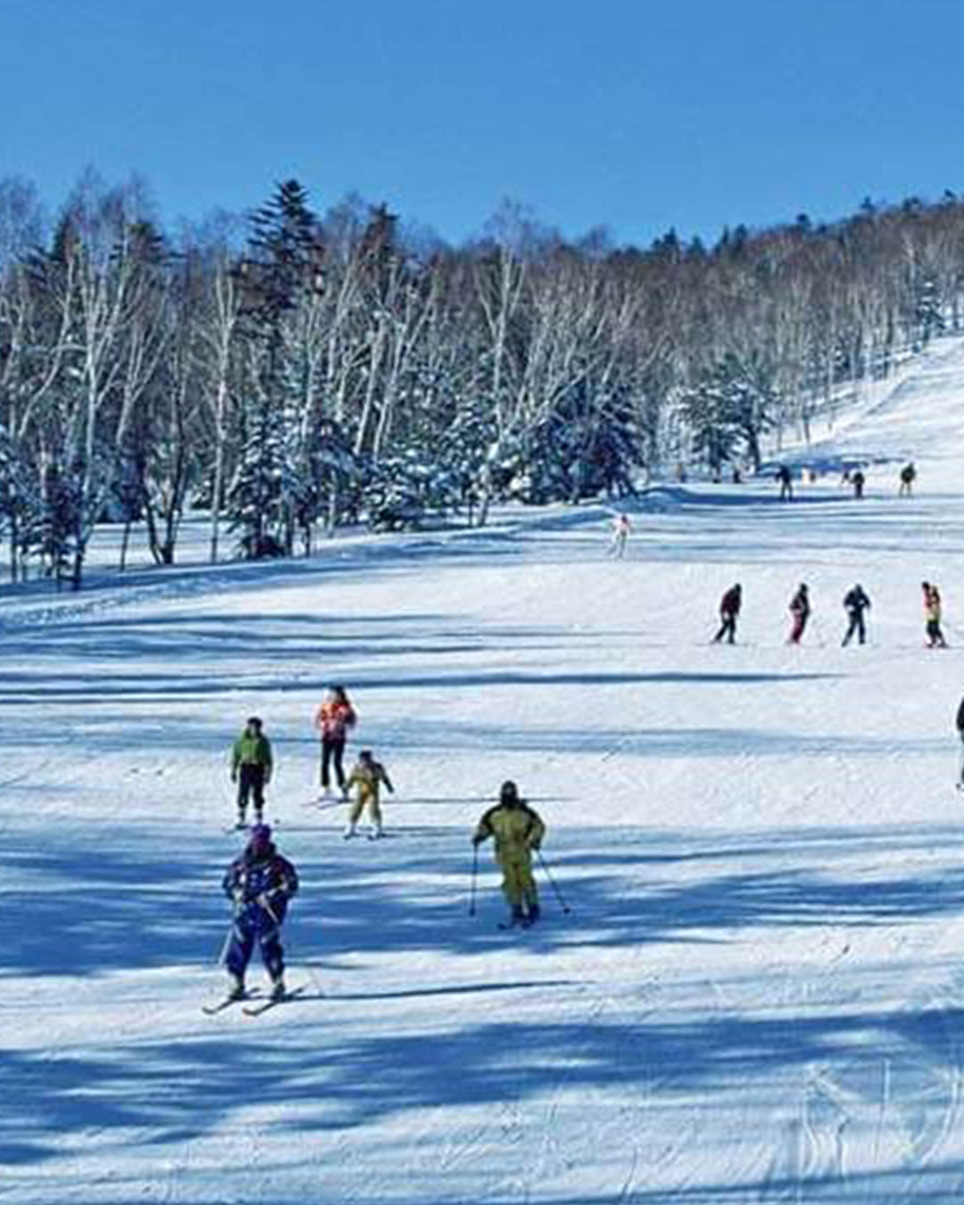 PTM34: 5D4N Winter Fairytale Adventure in Harbin-Yichun