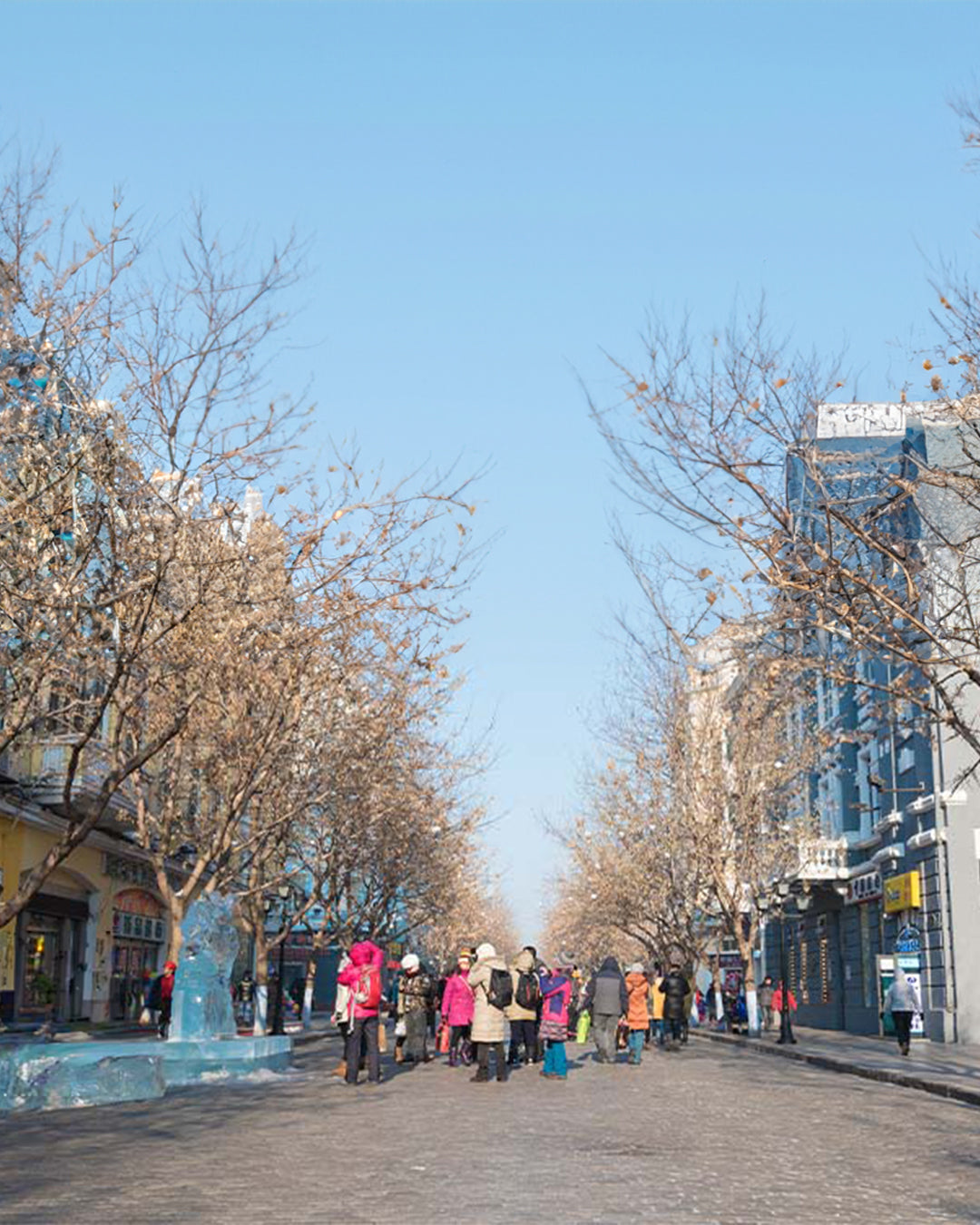 PTM34: 5D4N Winter Fairytale Adventure in Harbin-Yichun