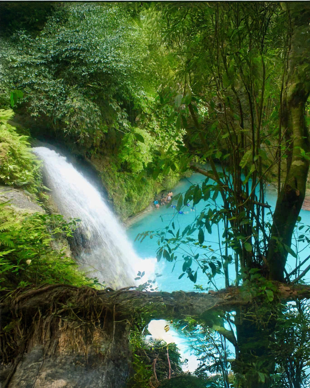A011: Kawasan Canyoneering Tour with Lunch