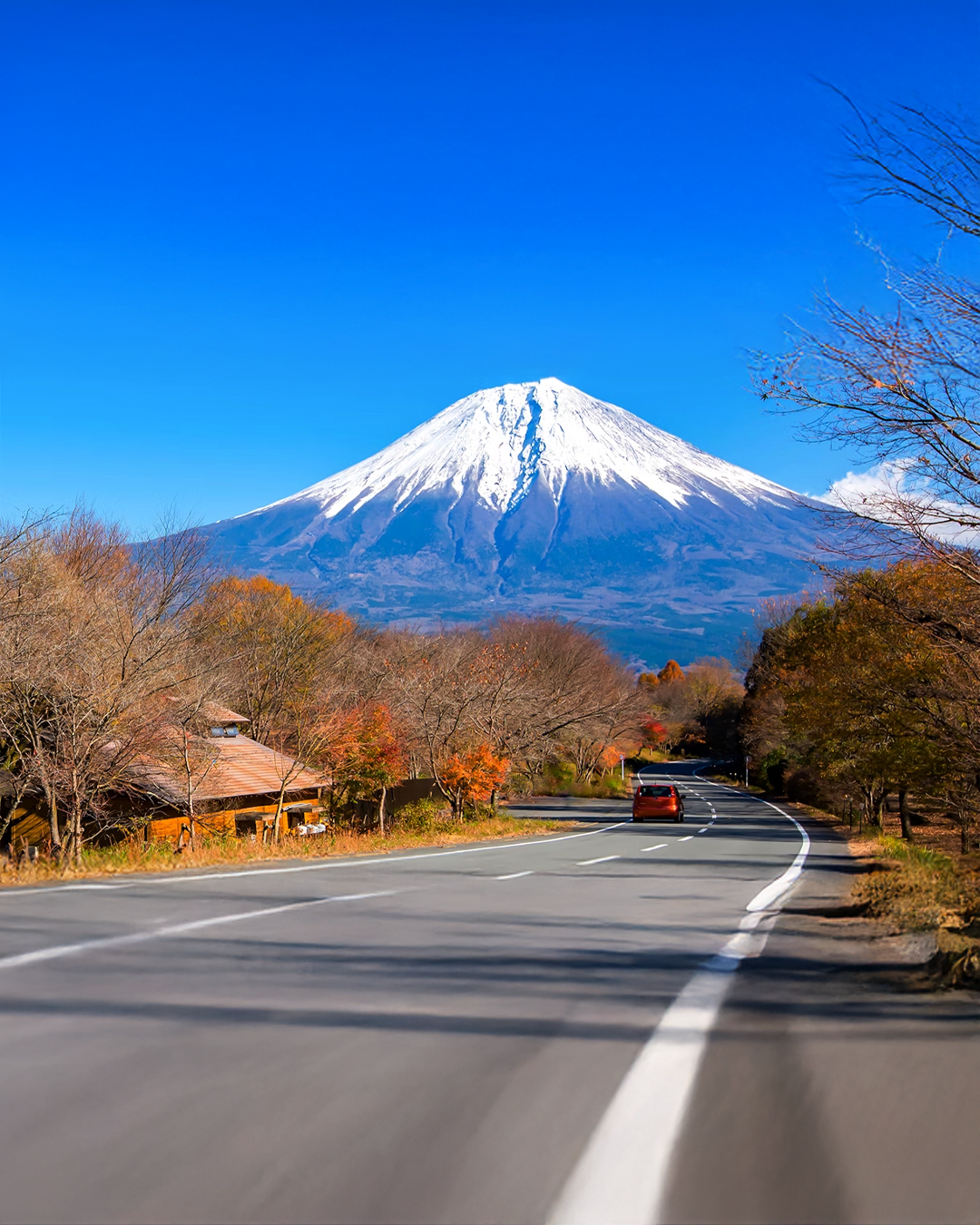 PTM30: 5D4N Japan: Tokyo + Mt. Fuji