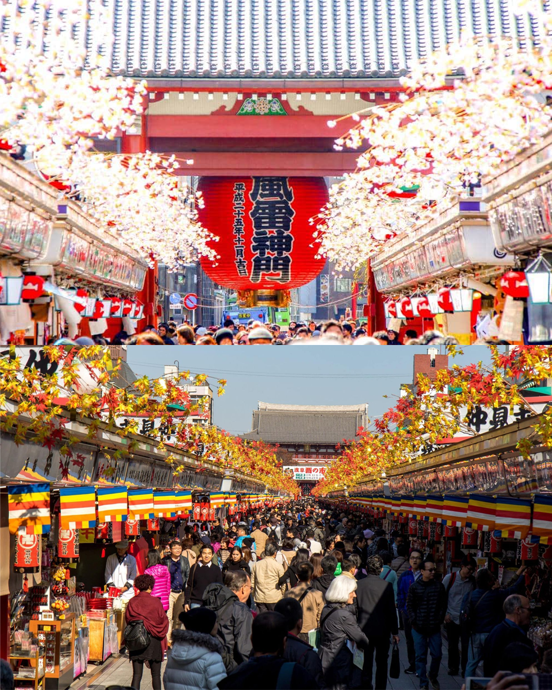 PTM30: 5D4N Japan: Tokyo + Mt. Fuji