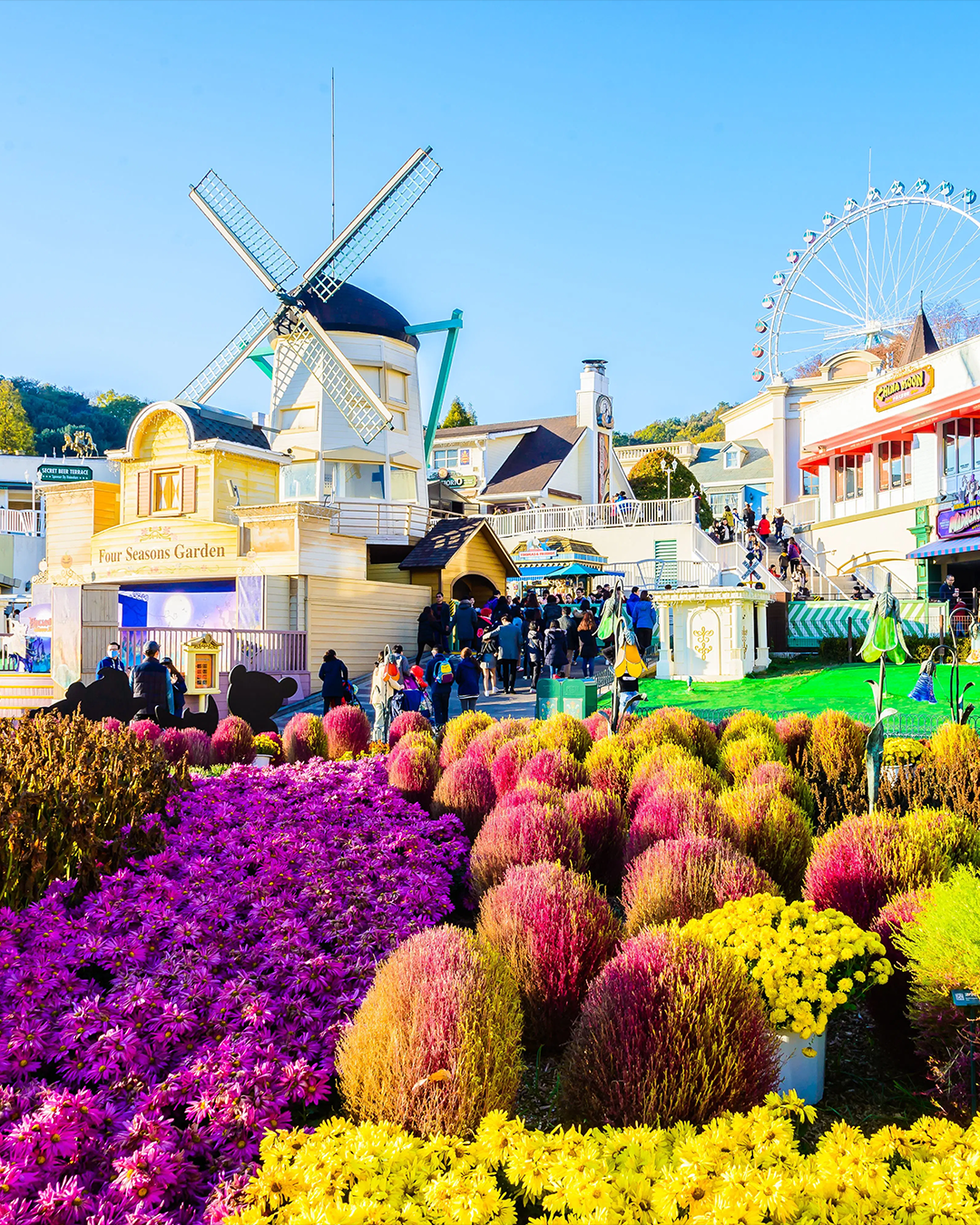 PTM31: 5D4N Winter South Korea