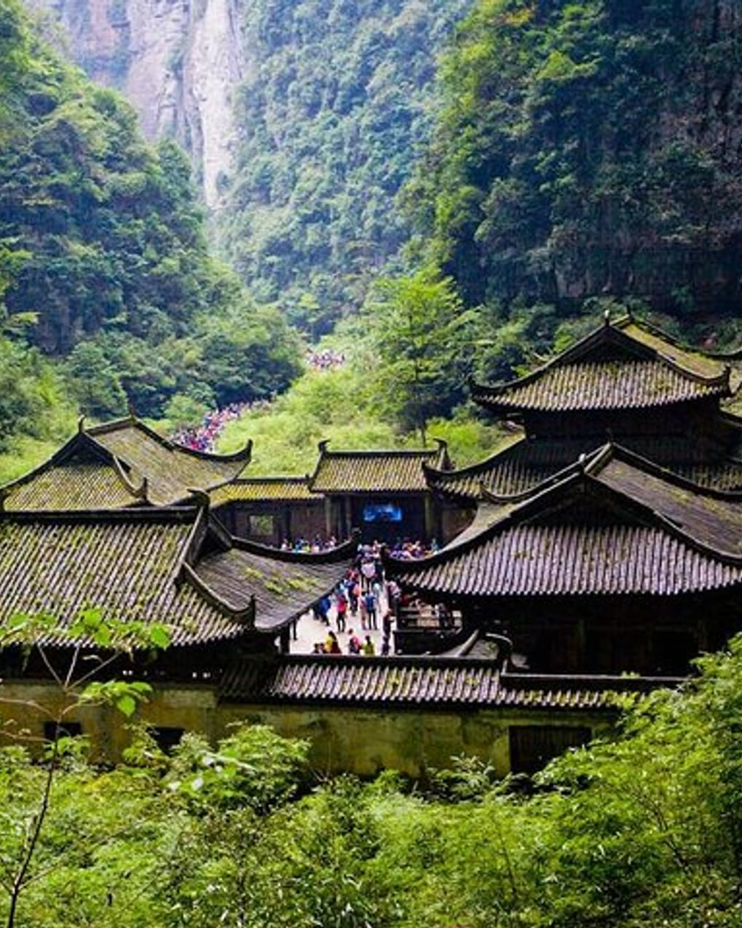 PTM35: 5D4N Chongqing + Wulong