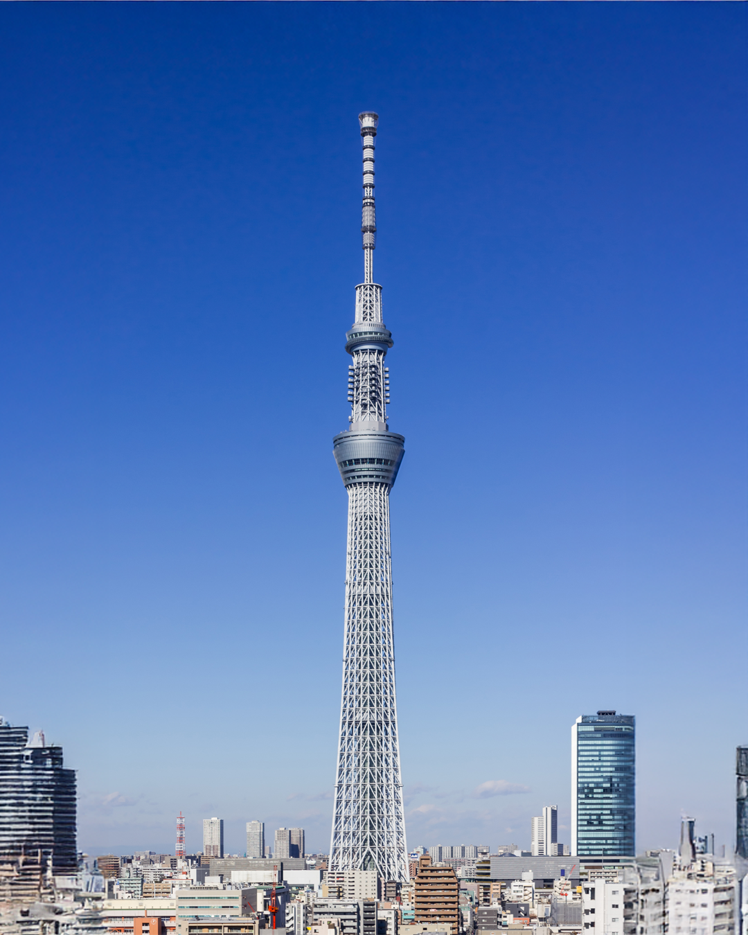 PTM30: 5D4N Japan: Tokyo + Mt. Fuji