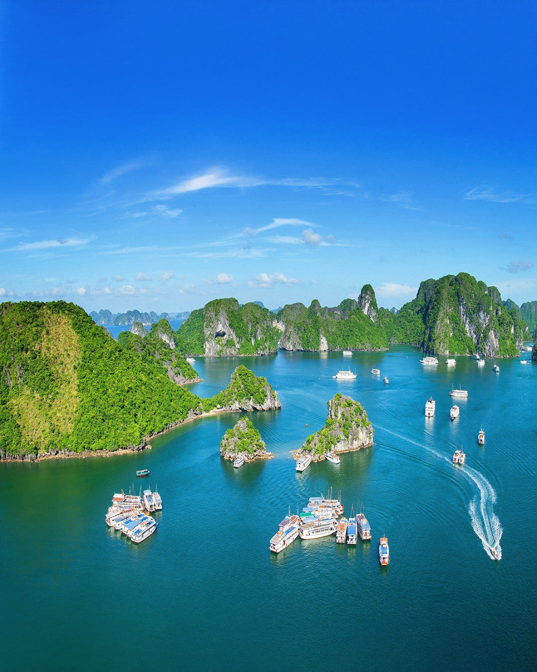 PTM23: 5D4N Vietnam Multi-Cities: Sapa-Hanoi-Halong Bay