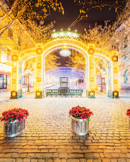 PTM34: 5D4N Winter Fairytale Adventure in Harbin-Yichun