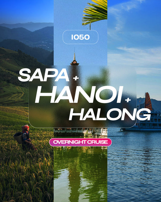 I050: 5 Days and 4 Nights Sapa + Hanoi + Ha Long, Vietnam Overnight Cruise