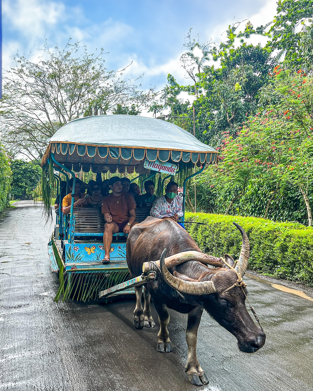 A005: Villa Escudero With Lunch Tour