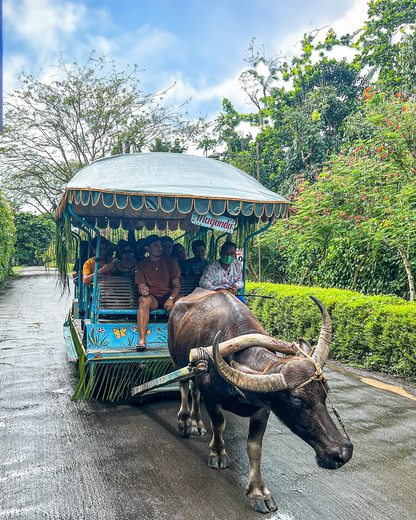 A005: Villa Escudero With Lunch Tour