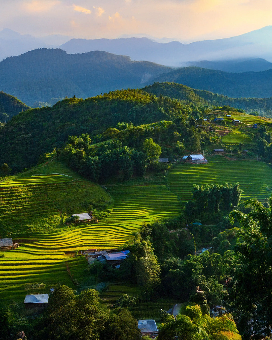 PTM23: 5D4N Vietnam Multi-Cities: Sapa-Hanoi-Halong Bay