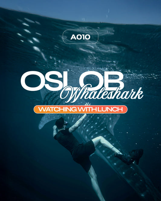 A010: Oslob Whale Shark Watching with Lunch