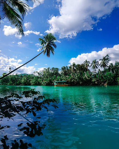 A008: Bohol Countryside Tour with Lunch