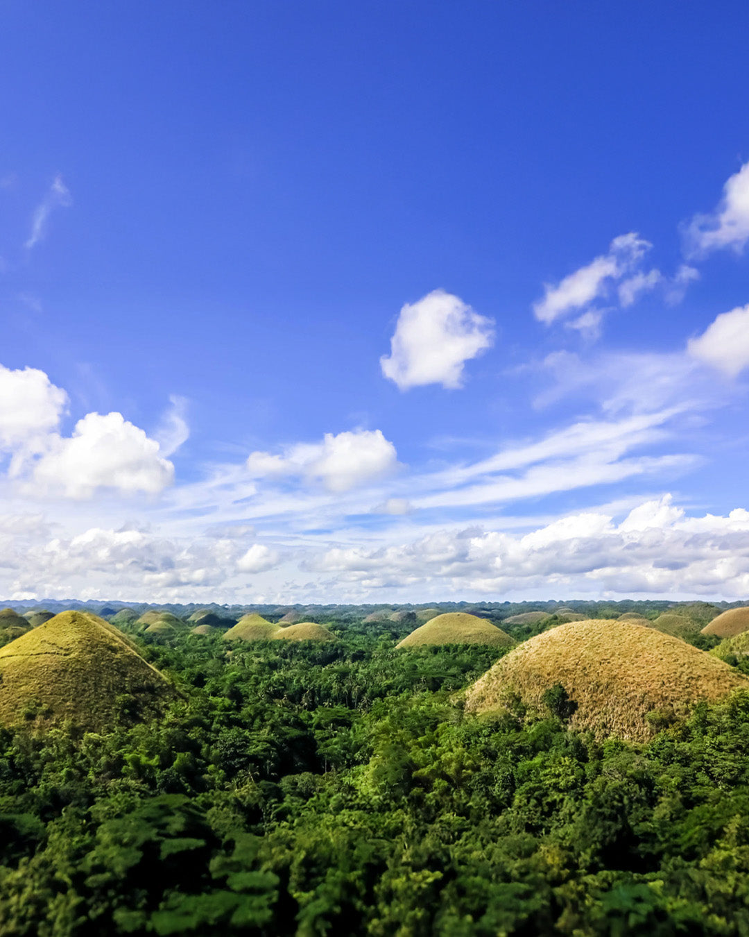 A008: Bohol Countryside Tour with Lunch
