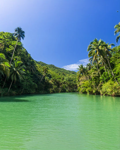 A008: Bohol Countryside Tour with Lunch