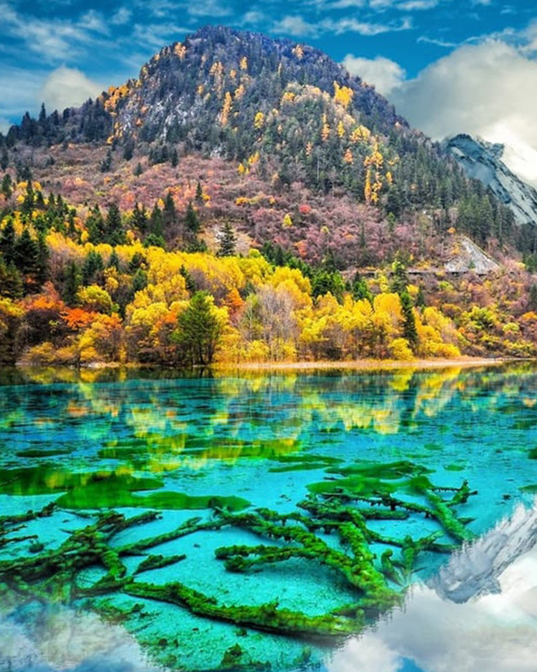 PTM36: 5D4N Chengdu + Jiuzhaigou