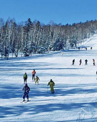 PTM34: 5D4N Winter Fairytale Adventure in Harbin-Yichun