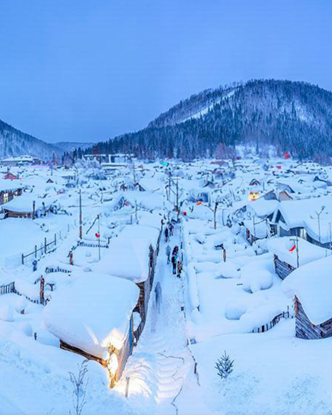 PTM34: 5D4N Winter Fairytale Adventure in Harbin-Yichun