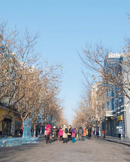 PTM34: 5D4N Winter Fairytale Adventure in Harbin-Yichun