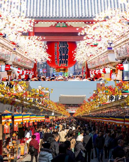 PTM30: 5D4N Japan: Tokyo + Mt. Fuji