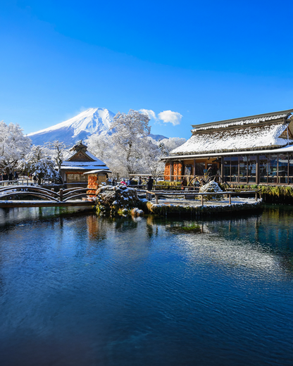 PTM30: 5D4N Japan: Tokyo + Mt. Fuji