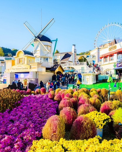 PTM31: 5D4N Winter South Korea