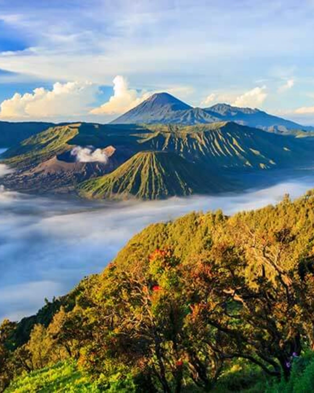 PTM45: 4D3N Bali, Indonesia Discovery